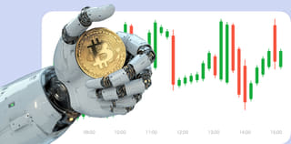Dashboard view of the Fidellan Pro 9.2 crypto exchange platform